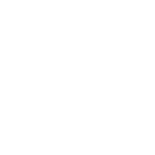 Chatbot Icon